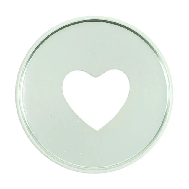 Happy Planner disques expanseurs métal menthe x11