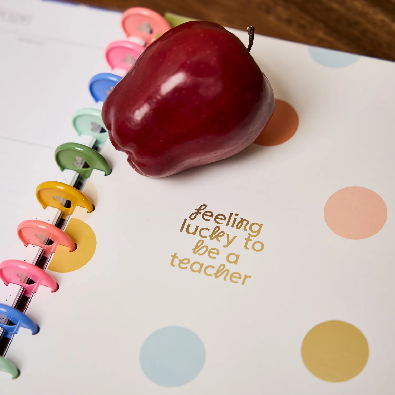 Happy Planner School Doodles Graphite 2026-2027 agenda professeur big