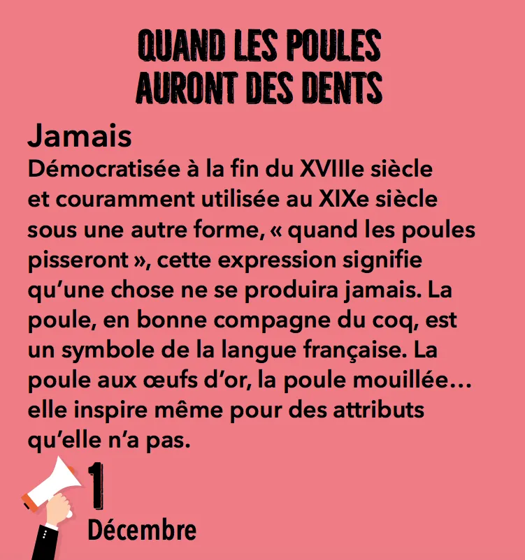 Frigobloc Mini calendrier 365 expressions et leur origine