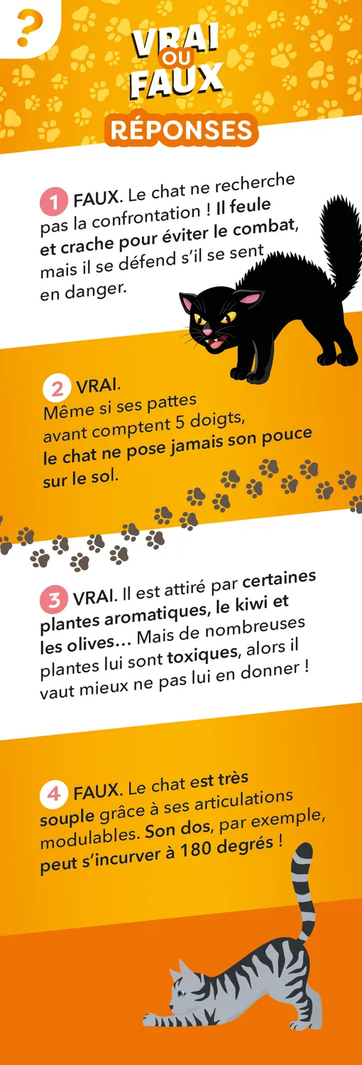 Frigobloc Éventail Passion Chats quiz enfant