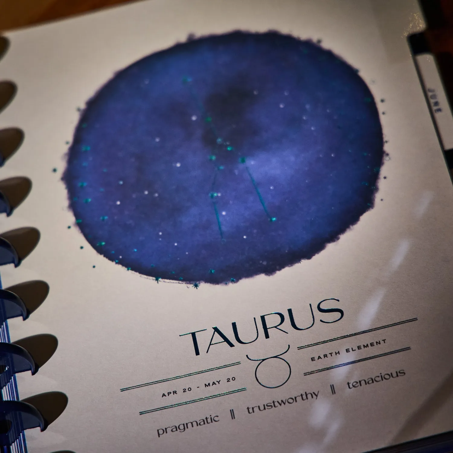Happy Planner Star Signs planner vertical 2026 12 mois
