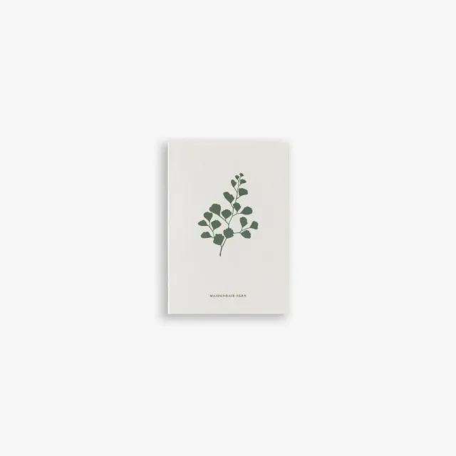 Kartotek Fern carte de vœux A7 fougère botanique