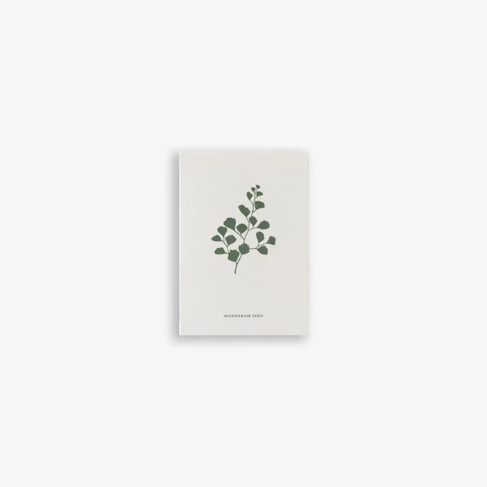 Kartotek Fern carte de vœux A7 fougère botanique