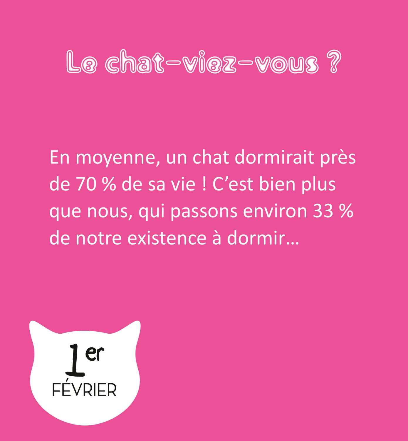 Frigobloc LOL Cats mini calendrier 365 jours chats