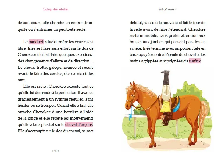 Frigobloc Le Galop des Etoiles Tome 2 Cherokee roman cheval 8 ans