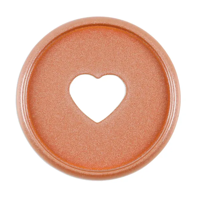 Happy Planner Chai Spice disques métal medium 11 pièces