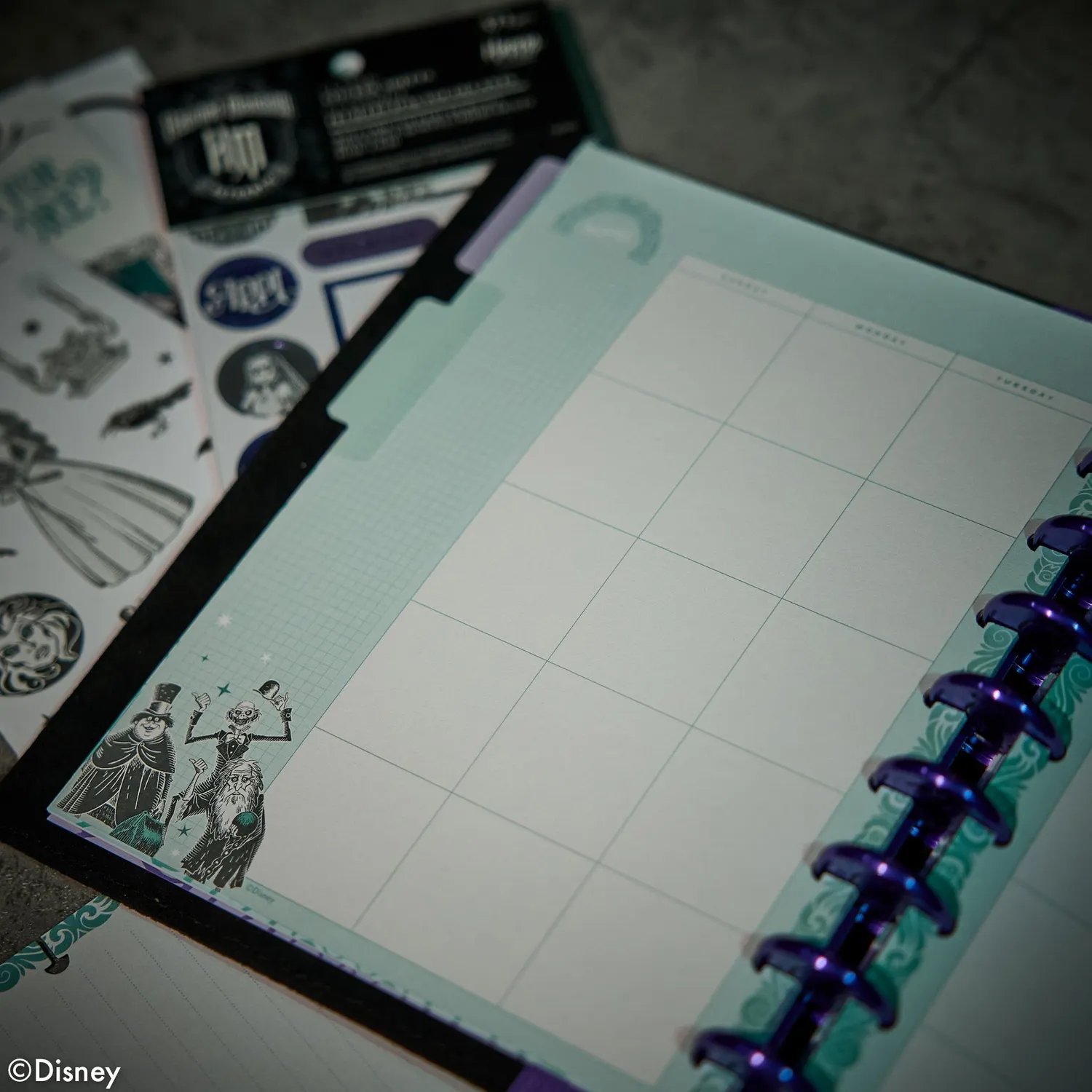 Happy Planner Disney Haunted Mansion Be Happy Box planner