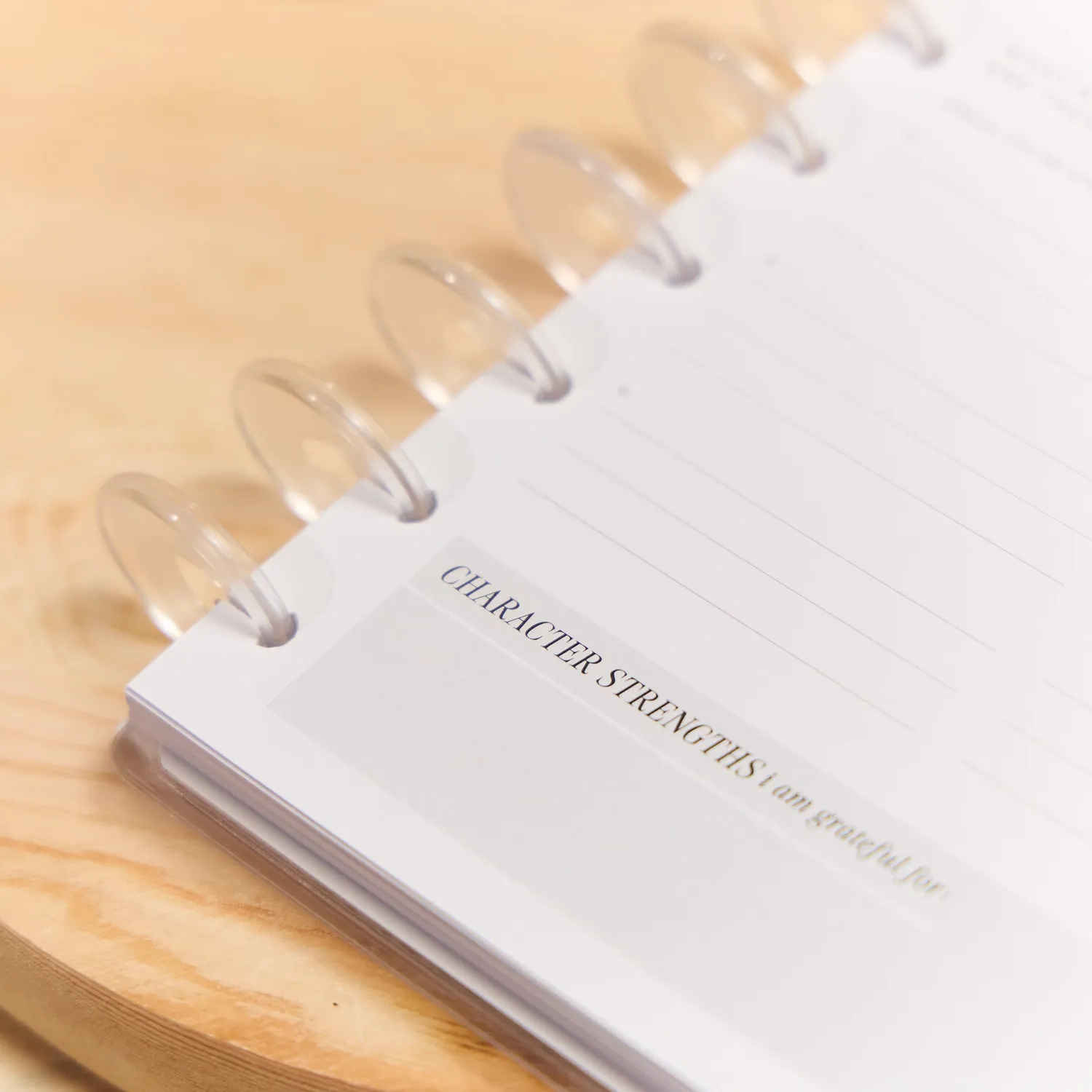 Happy Planner Manifest journal guidé classic 80 feuilles intention