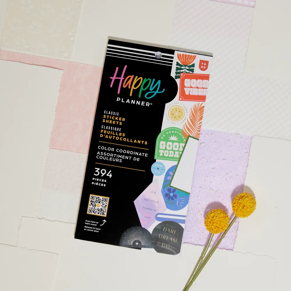 Me & my big ideas Color Coordinate stickers agenda 394