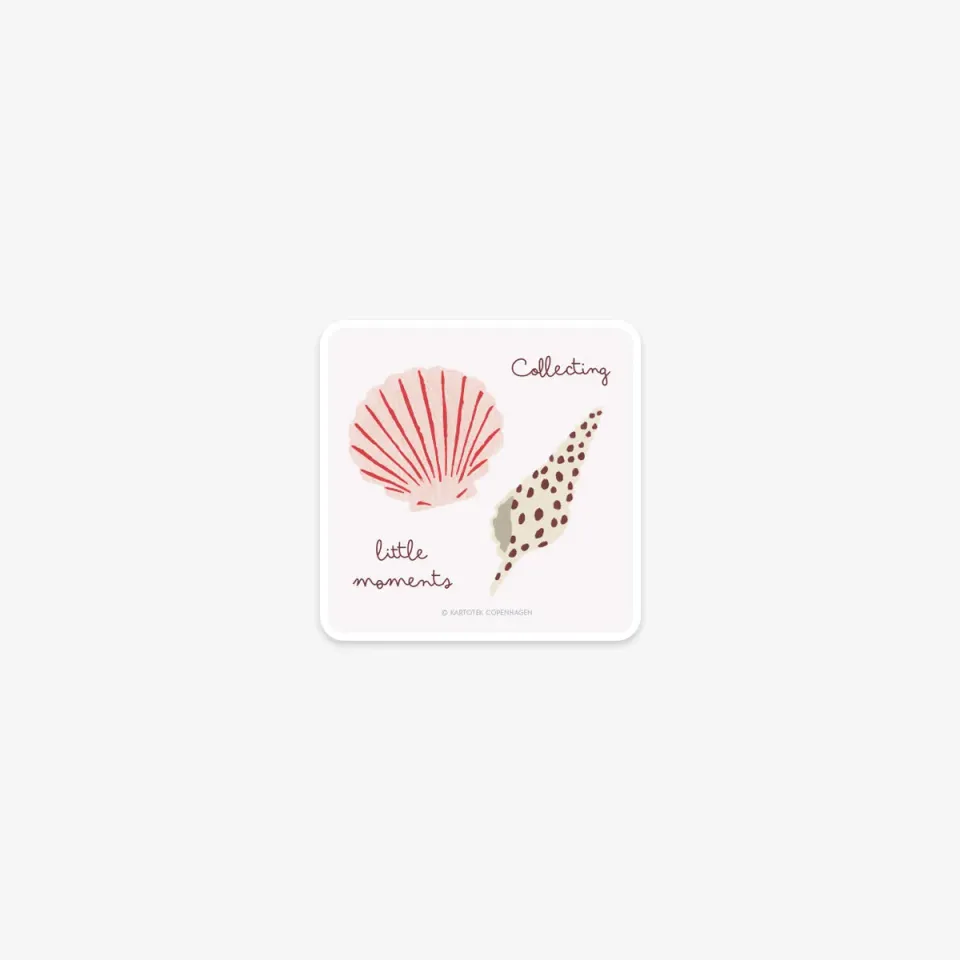 Kartotek Seashells sticker vinyle coquillages mat