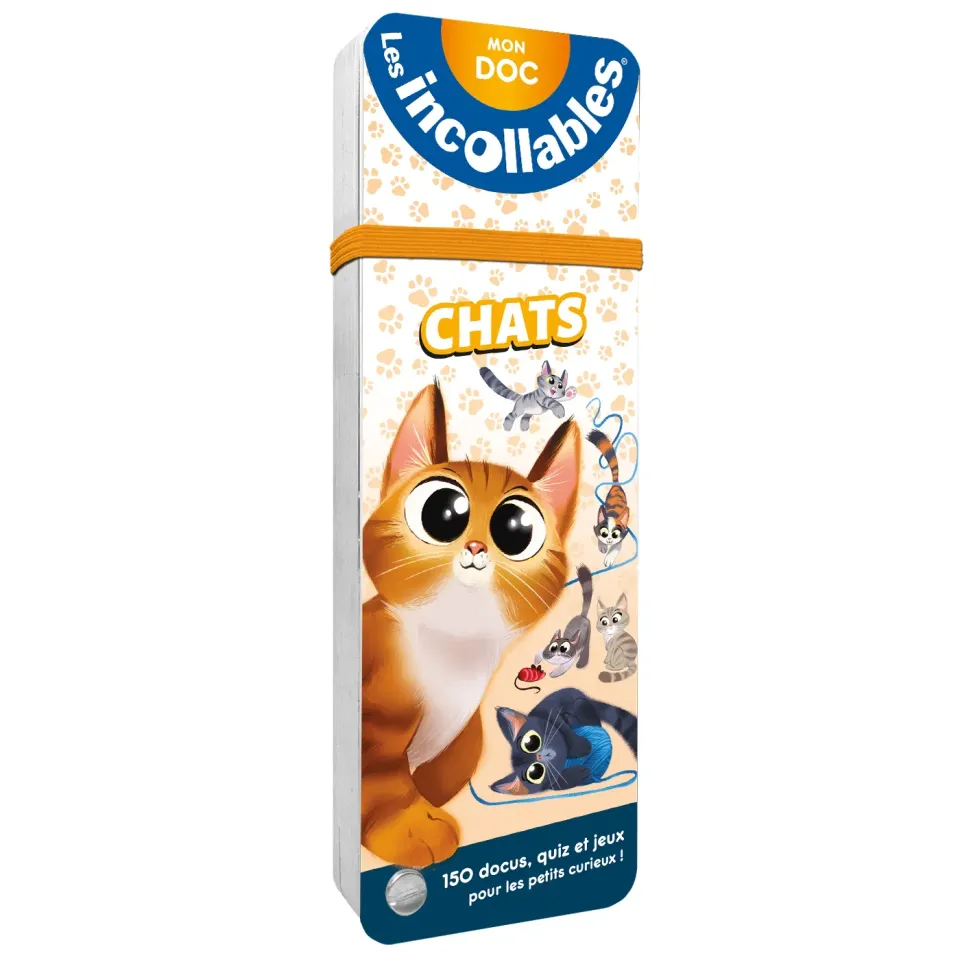 Frigobloc Éventail Passion Chats quiz enfant