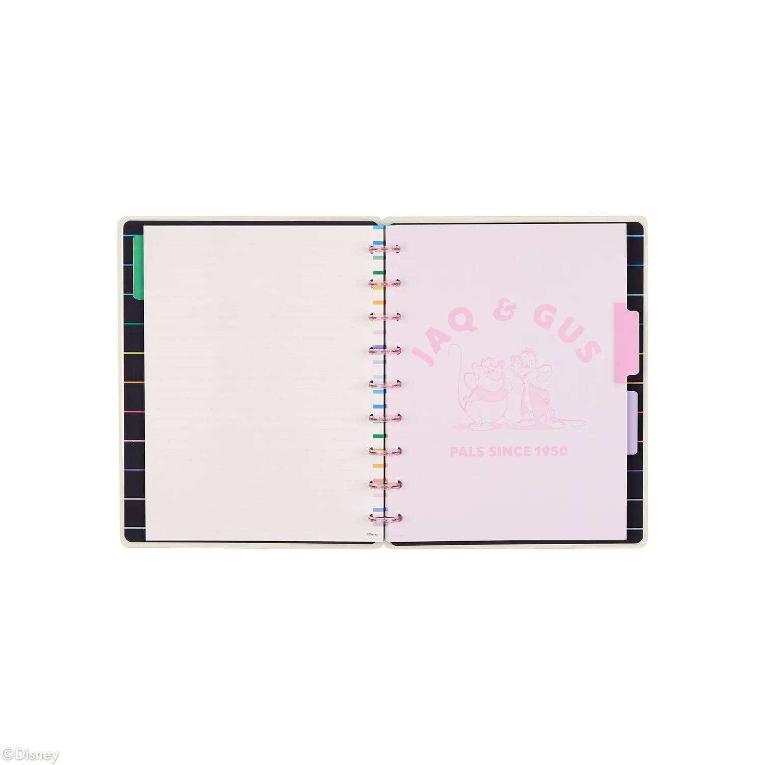 Happy Planner Disney Best Pals carnet Classic pointillé