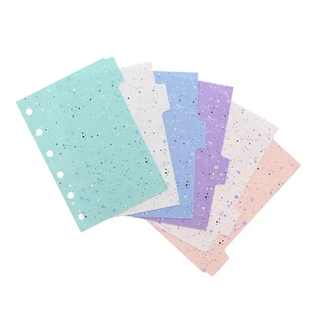 Filofax Expressions intercalaires pocket x6 pastel